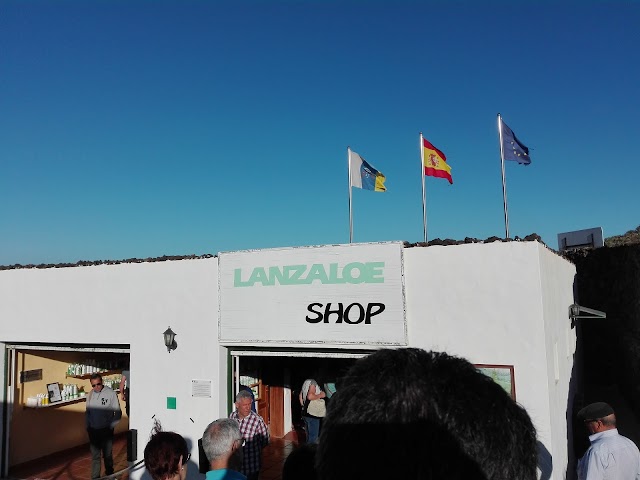 Lanzaloe