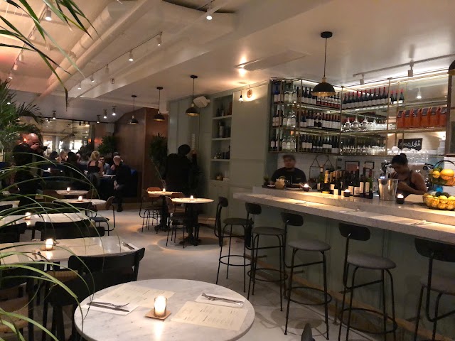 Root Nolita