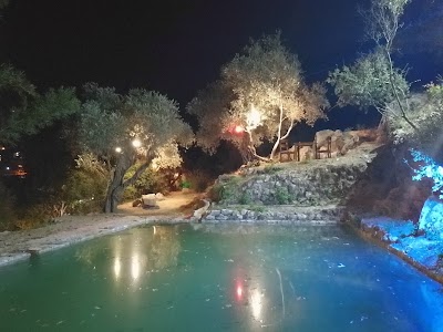 Photos of Bel tabi3a بالطبيعة