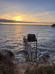 Photo n°6 de Camping Le Pin Franc à Meschers-sur-Gironde (Terrain de camping)