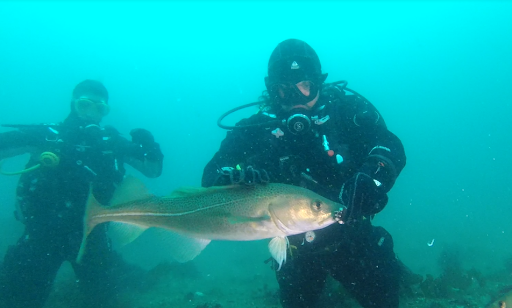 Dive Addicts - Thumbnail