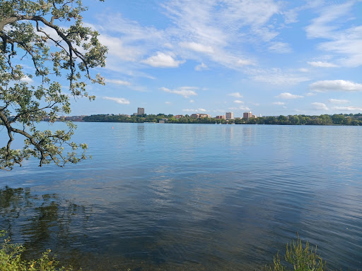 Picnic Point - Visual