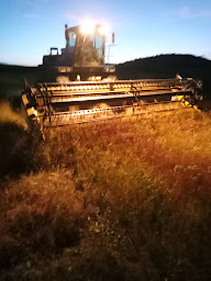 Photo n°11 de Élevage Angus de Fleury à Saint-Martin-de-Fugères (Ferme)