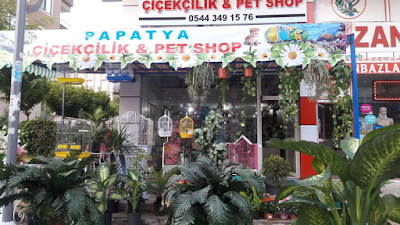 Papatya Çiçekçilik & Petshop &çikolata