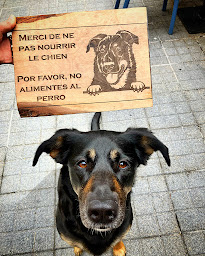 Photo n°20 de Auberge de l'Ours à Borce (Épicerie)