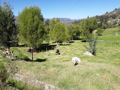 Photos of Posada Agroecologica Bochica Chalet.