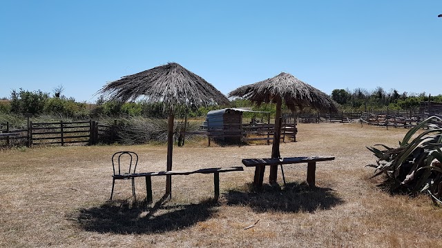 Cactus Park