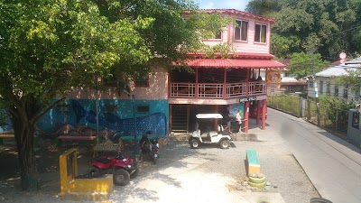 Photos of Bay Islands College of Diving