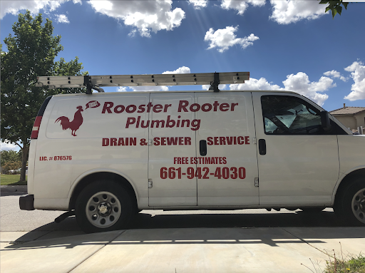 Rooster Rooter - Visual