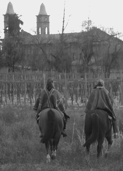 Photos of Cabalgatas Rancho Viejo | Horseback