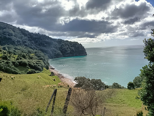 Homunga bay track car park