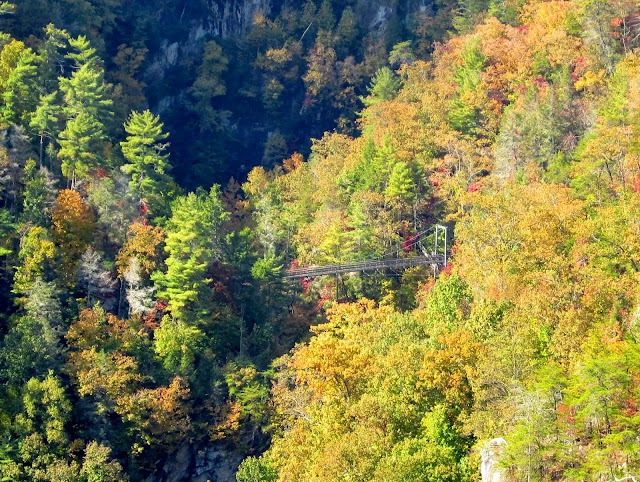 Tallulah Gorge State Park