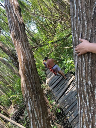 Macalutours - Thumbnail