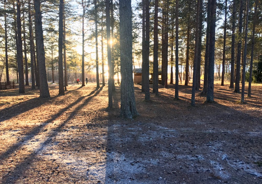 Aktivator Gallery - Sweden