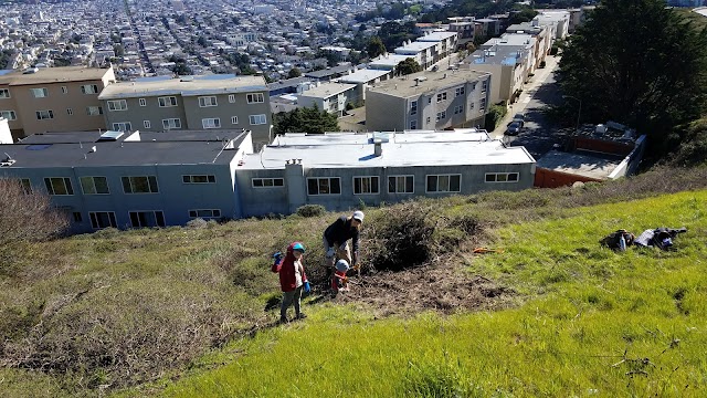 Twin Peaks View /Vue