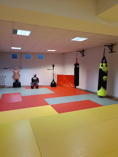 Club de MMA arts martiaux et sports de combats - Association DHLAMM