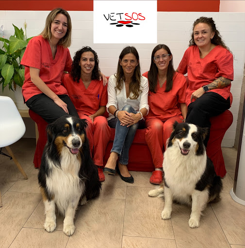 VETSOS | Veterinario Villanueva de la Cañada