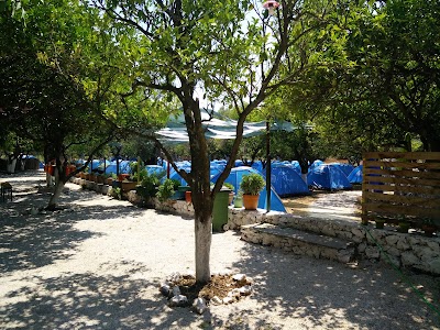 Photos of La Playa
