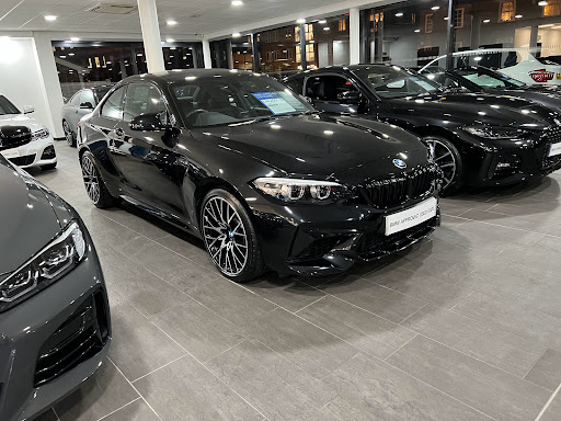 Berry Cobham BMW - Thumbnail