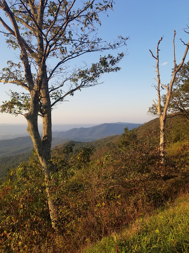 Stony Man Mountain Overlook - Thumbnail
