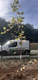 Photo n°20 de Créa'Paysage16 à Dignac (Jardinier)