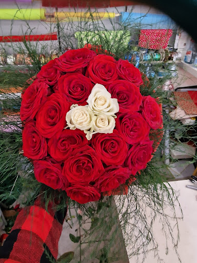 Decorflora - Visual