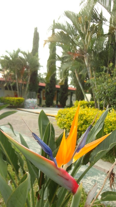 Photos of Colegio de Bachilleres del Estado de Morelos