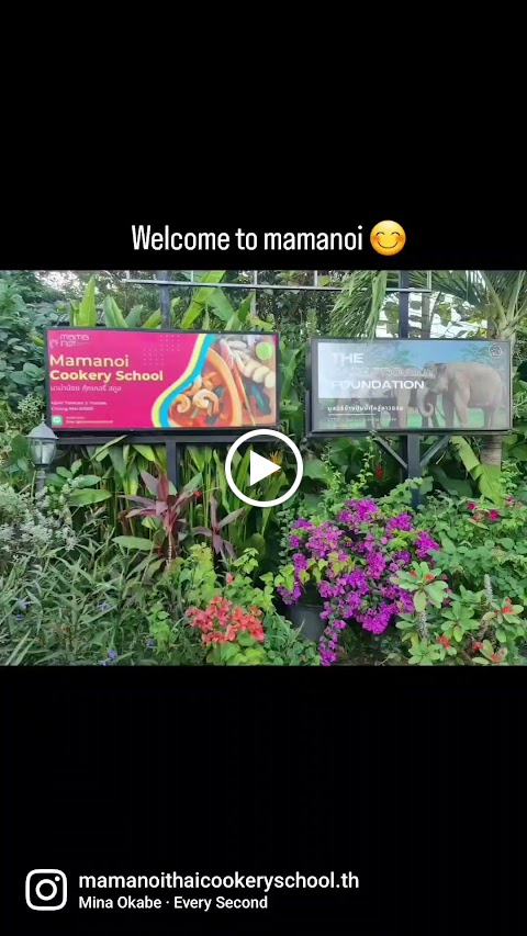 Mama noi Thai Cookery School