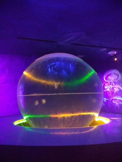 Photos of Tianjin Haichang Polar Ocean World