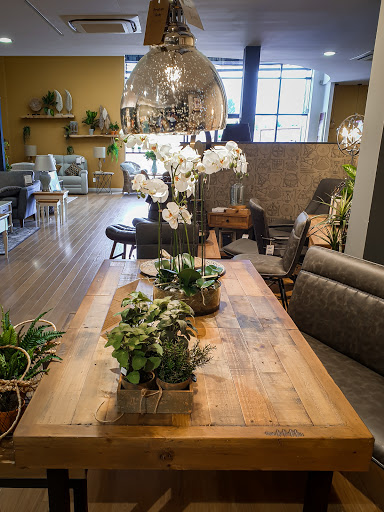 Alana Interiors - Thumbnail