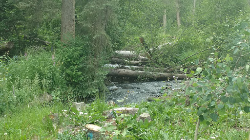 Comstock Campground - Visual