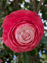 Photo n°15 de Sophraloisirs - Christine Holstein - Sophrologue certifiée à Eschau (Association culturelle)