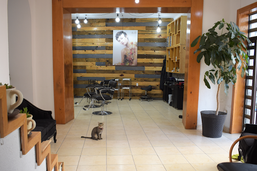 The Beauty Place Davines - Thumbnail