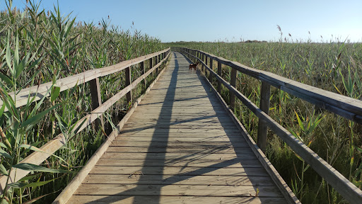 Paseo Sofía - Visual