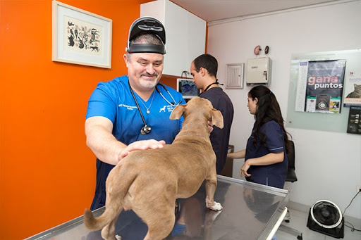 Vets Medical Center