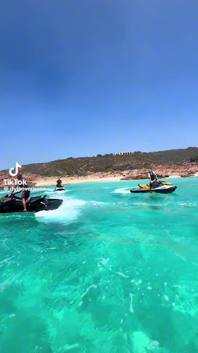 Centre canin du Mas des Crozes - Dresseur pour chiens