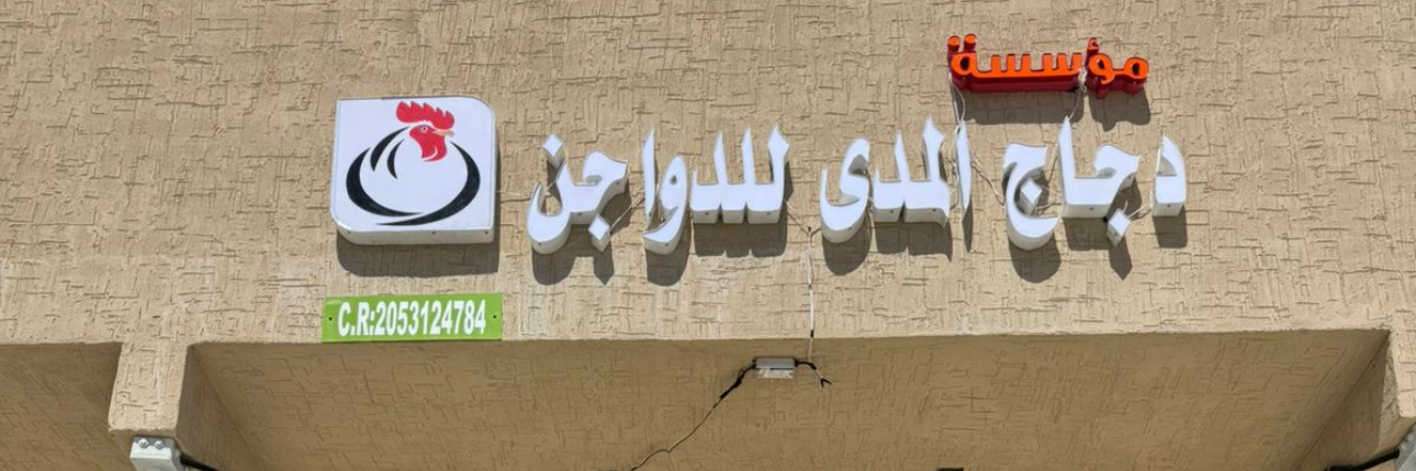 دجاج المدى للدواجن