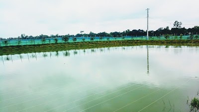 Photos of Dew Agro Farms Limited