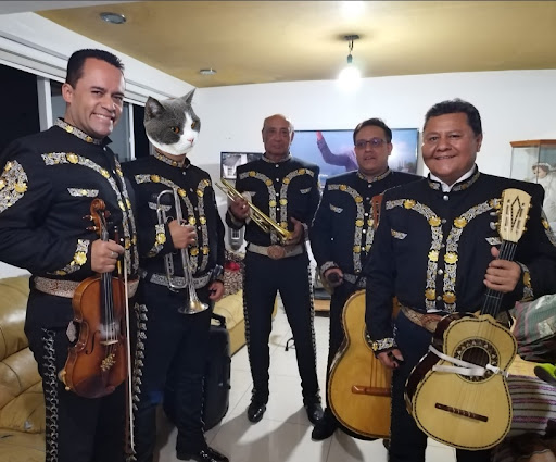 Mariachis en Azcapotzalco El Color de México