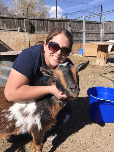 Wasatch Veterinary - Visual