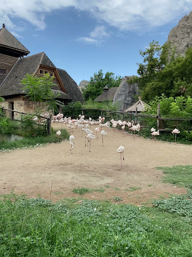 Értékelések erről a helyről: Fővárosi Állat- és Növénykert, Budapest - Hamburger