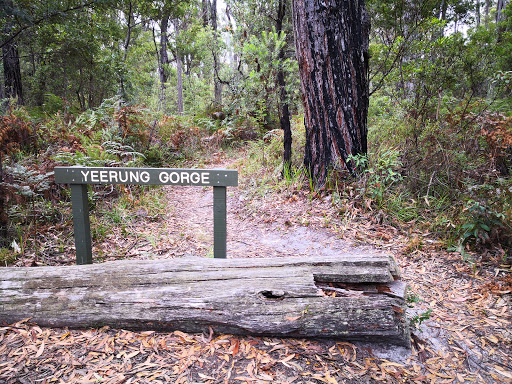Yeerung Gorge - Thumbnail
