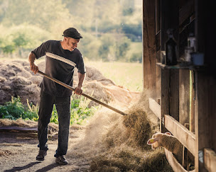 Photo n°5 de Ferme de la Manie à Laval-sur-Luzège (Ferme d'élevage)