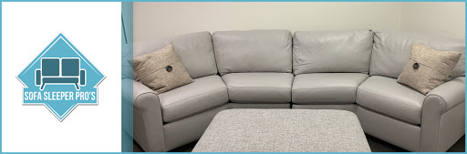 Sofa Sleeper Pros - Visual