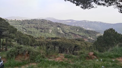 Photos of Sharewood Camp