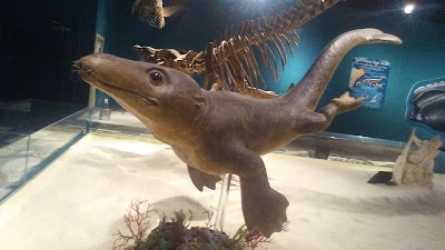 Photos of Georgia Southern Museum