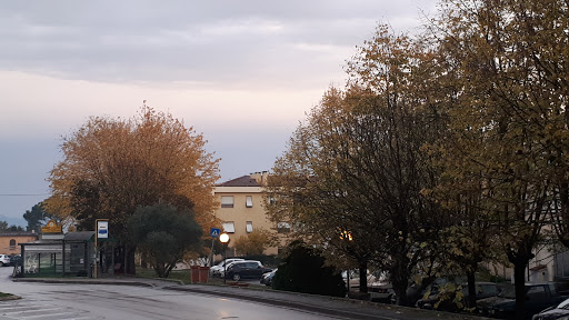 Circolo ARCI Milleluci - Thumbnail