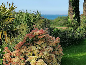 Photo n°45 de Le Hameau de Keryar - crêperie - salon de thé à Guimaëc (Salon de thé)