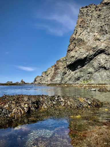 Newfoundland Tourism - Canada