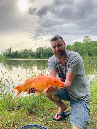 Photo n°41 de Camping Les Rulières à Saint-Valérien (Terrain de camping)